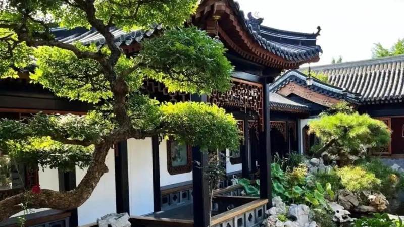 悟空体育直播导视服务配图